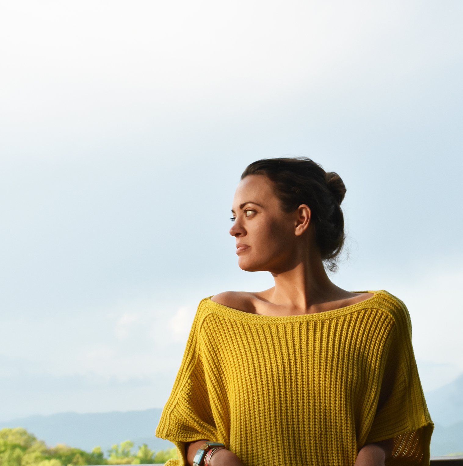 laurie_rhoney_interior_designer_hickory_nc_mountains_square2